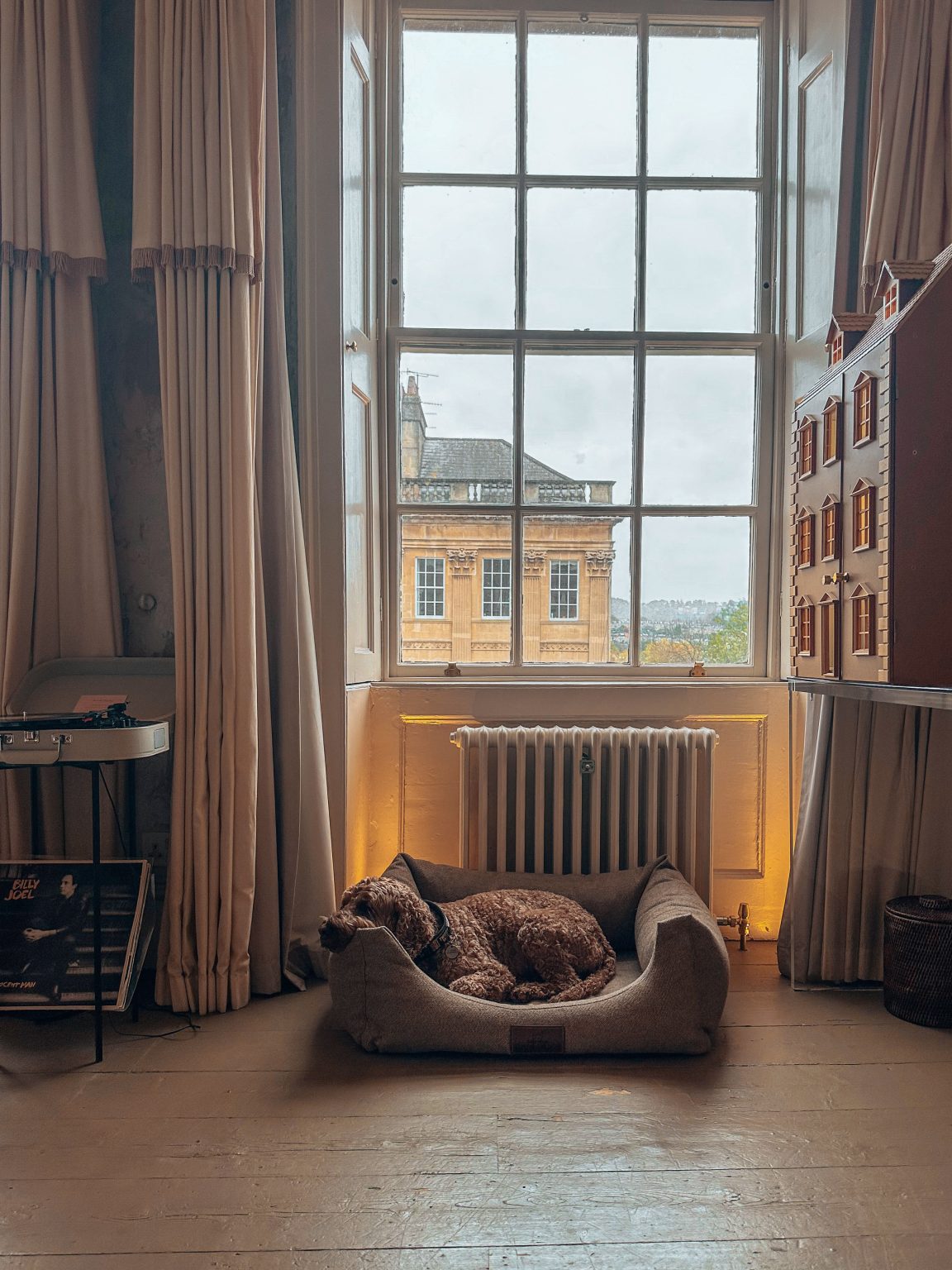 Ivy and Duke at No. 15 Bath