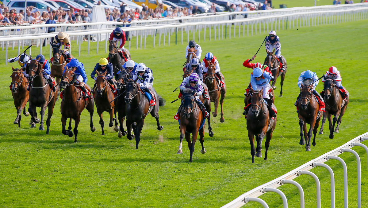 Ebor Festival
